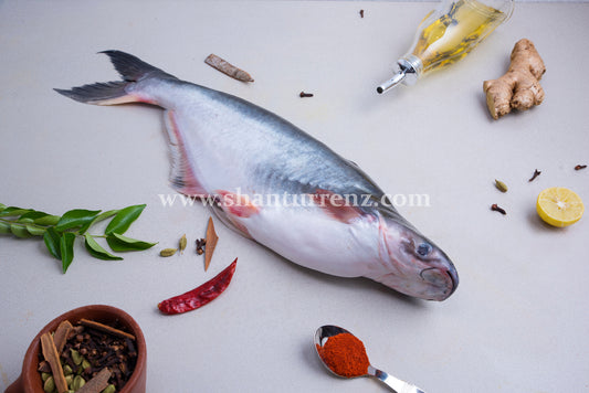 Pangas Fish