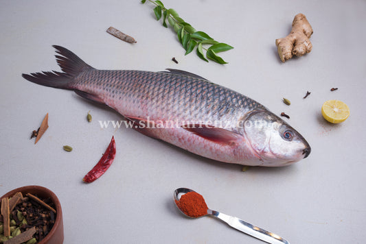 Rohu