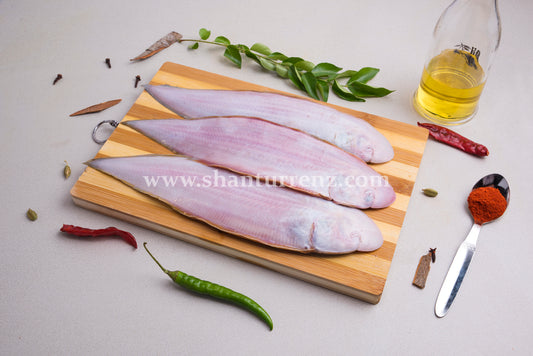 Sole Fish