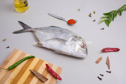 Travaly Fish