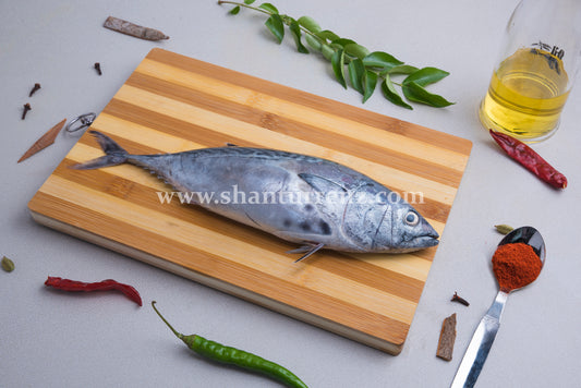 Tuna Fish