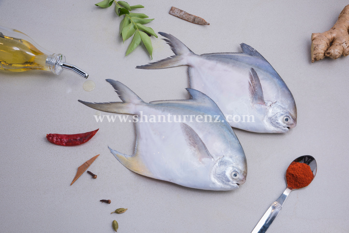 White Promfret Big