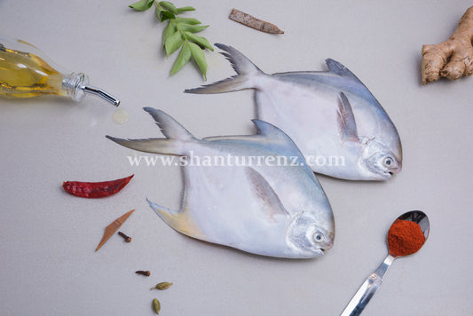 White Promfret Big