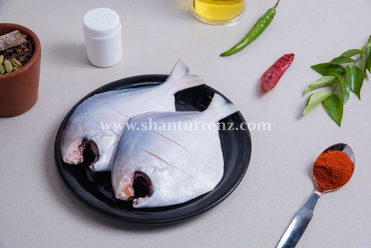 White pomfret medium