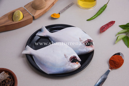 White pomfret small