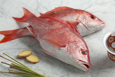 Red Snapper / Chempalli (Large) (2kg to 6.9kg)