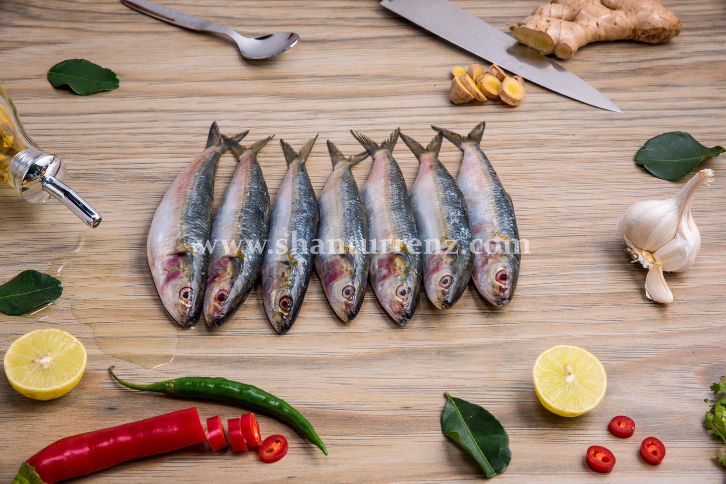 Sardine