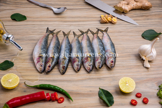 Sardine